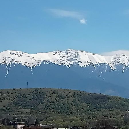 Le Nid D'Adam Leilighet Zărneşti Eksteriør bilde