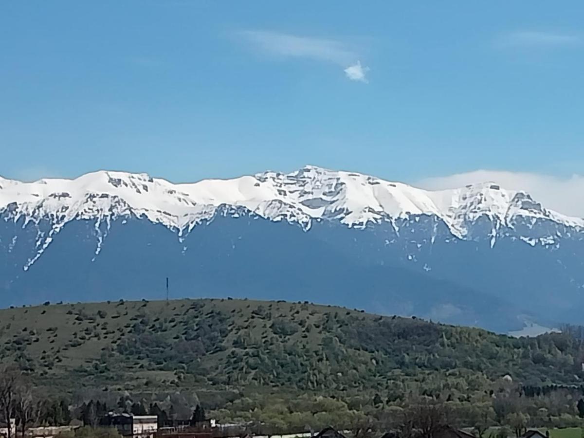 Le Nid D'Adam Leilighet Zărneşti Eksteriør bilde